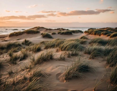 Sanddünen auf Langeoog